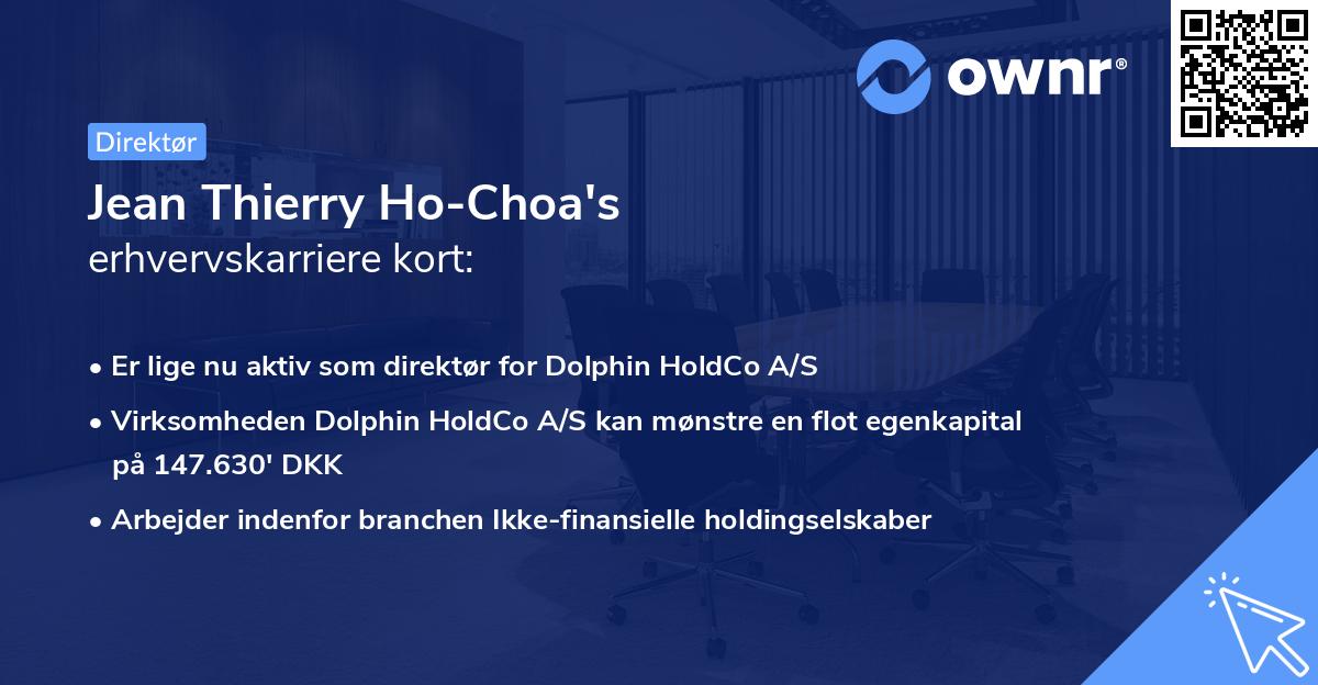 Jean Thierry Ho-Choa's erhvervskarriere kort