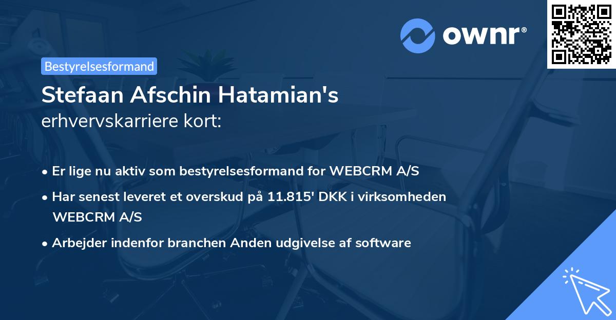 Stefaan Afschin Hatamian's erhvervskarriere kort
