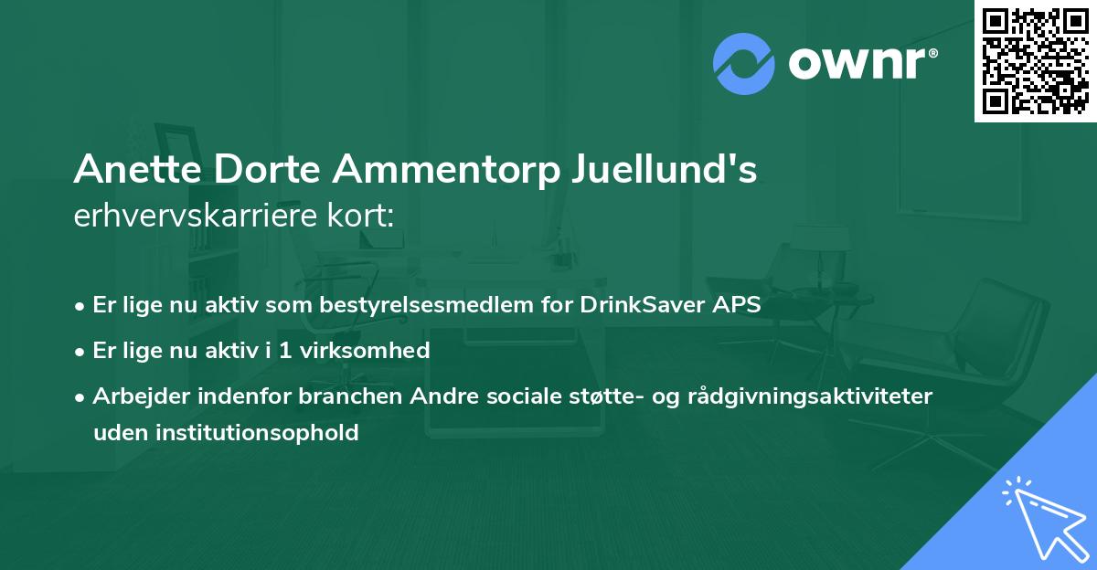 Anette Dorte Ammentorp Juellund's erhvervskarriere kort
