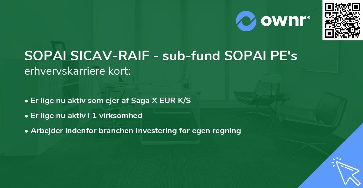SOPAI SICAV-RAIF - sub-fund SOPAI PE's erhvervskarriere kort