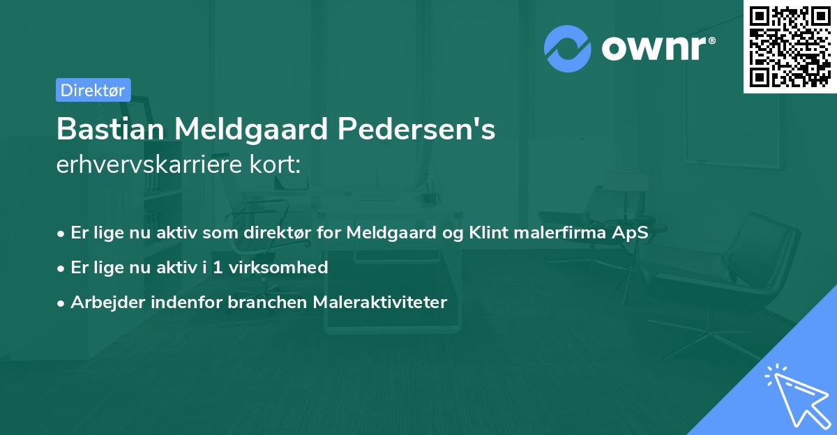 Bastian Meldgaard Pedersen's erhvervskarriere kort