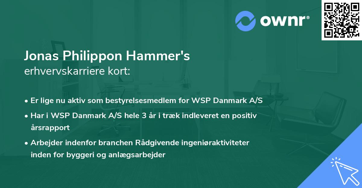 Jonas Philippon Hammer's erhvervskarriere kort