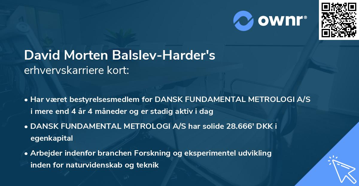 David Morten Balslev-Harder's erhvervskarriere kort