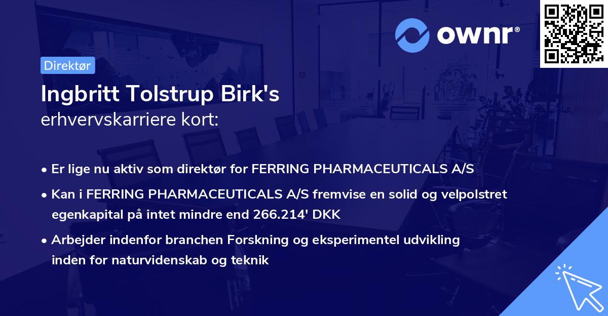 Ingbritt Tolstrup Birk's erhvervskarriere kort