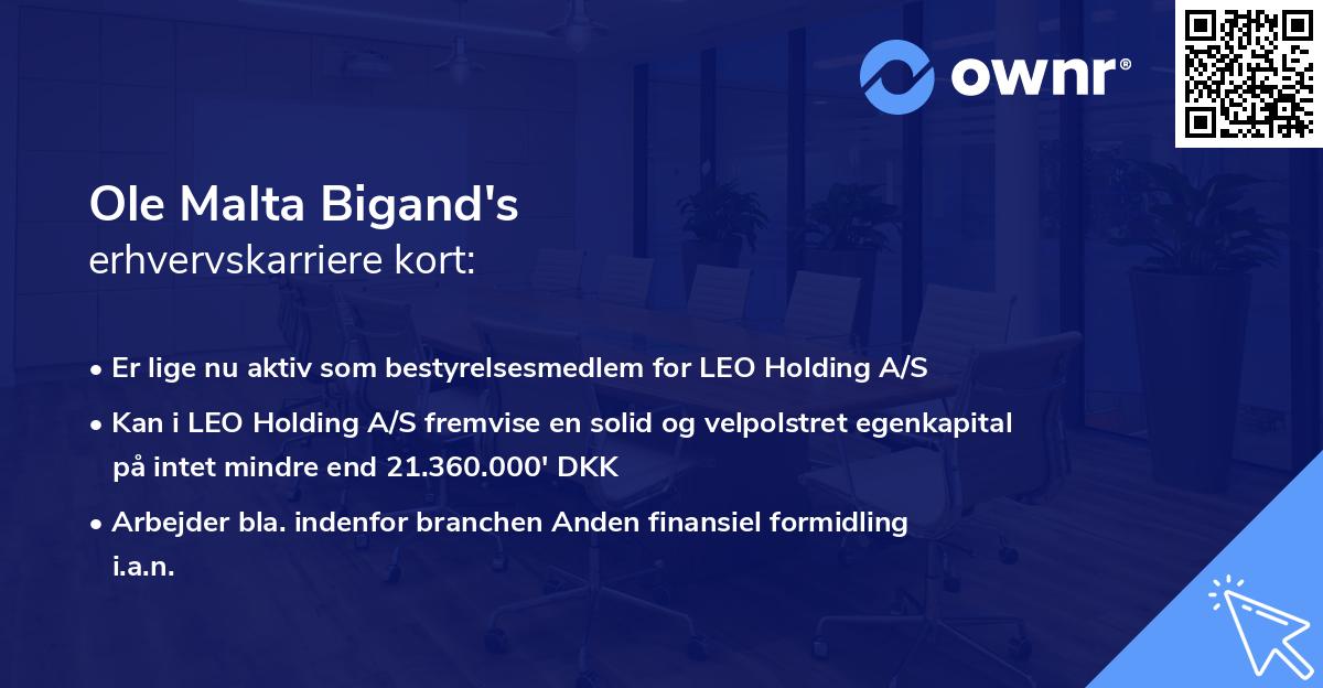 Ole Malta Bigand's erhvervskarriere kort