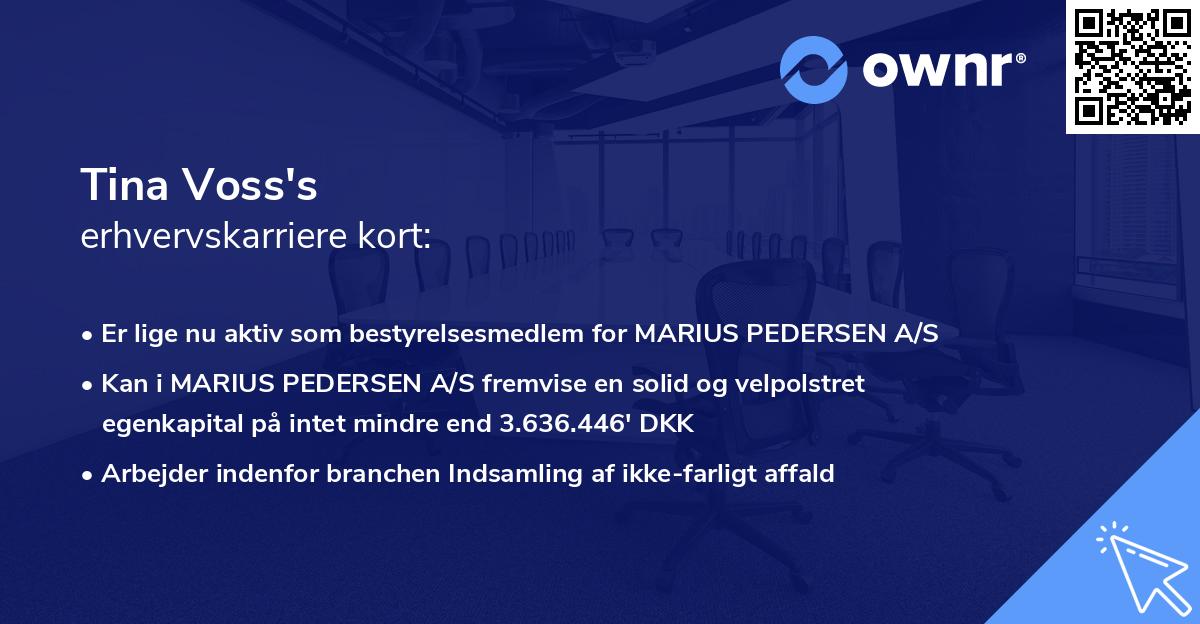 Tina Voss's erhvervskarriere kort