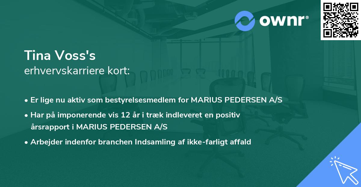 Tina Voss's erhvervskarriere kort