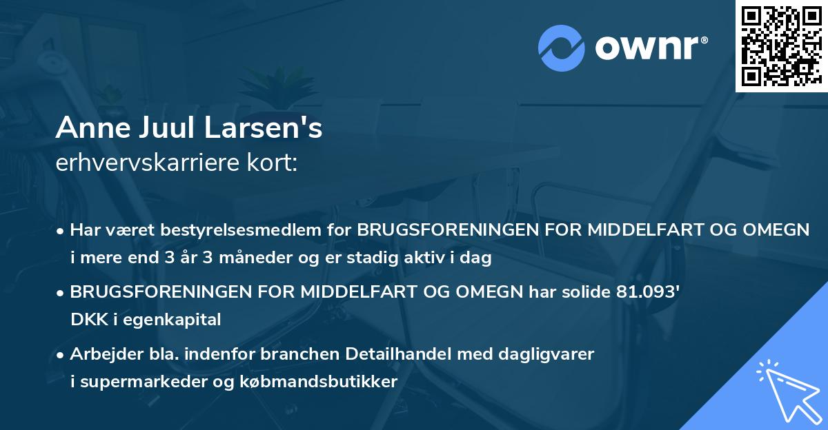 Anne Juul Larsen's erhvervskarriere kort