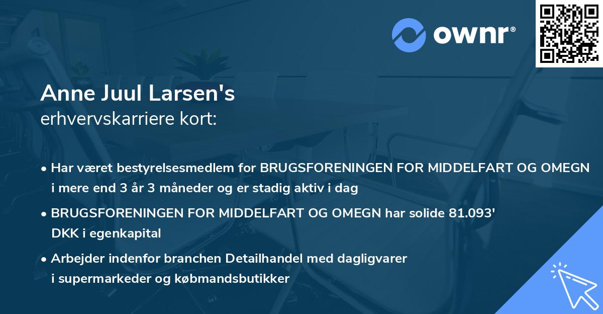 Anne Juul Larsen's erhvervskarriere kort