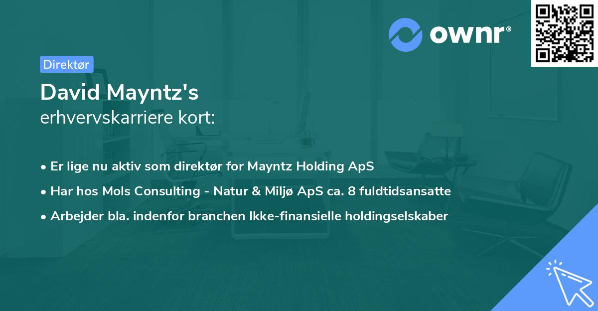 David Mayntz's erhvervskarriere kort