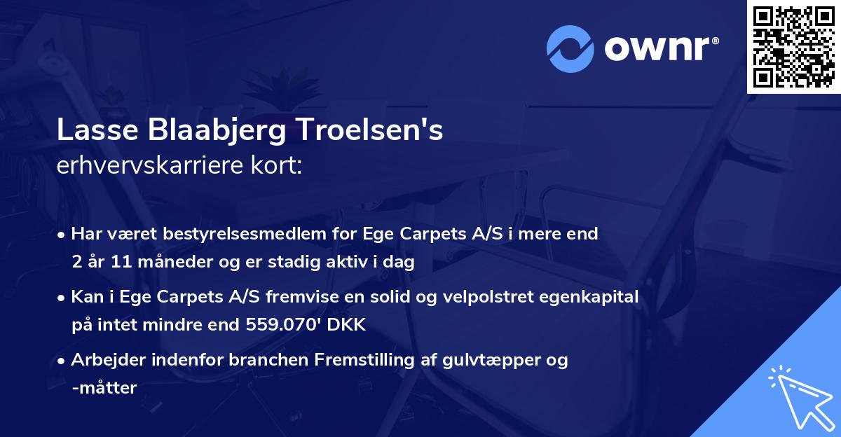 Lasse Blaabjerg Troelsen's erhvervskarriere kort