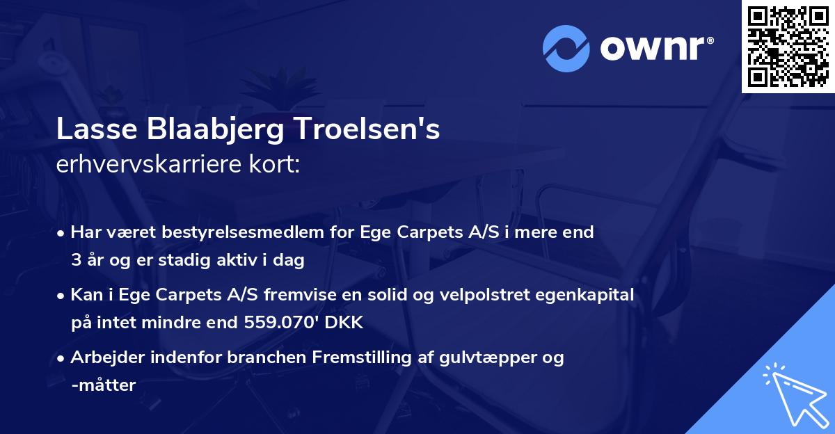 Lasse Blaabjerg Troelsen's erhvervskarriere kort