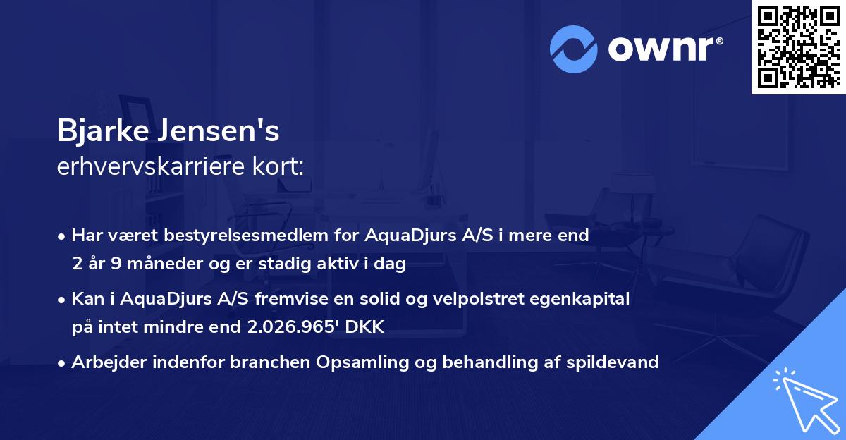 Bjarke Jensen's erhvervskarriere kort