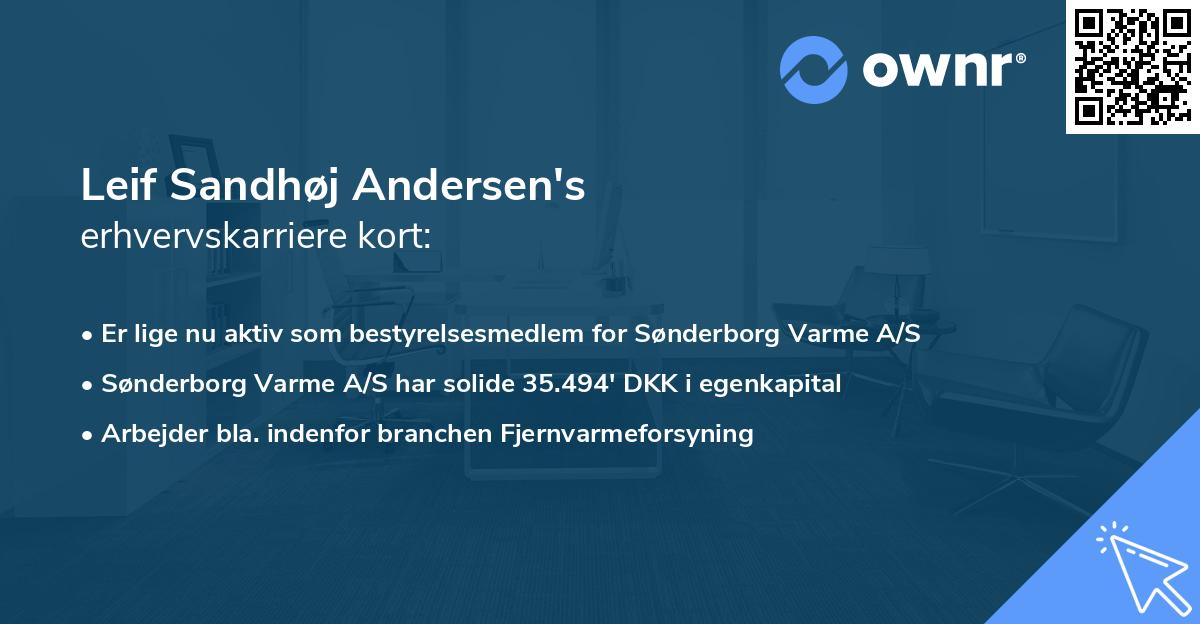 Leif Sandhøj Andersen's erhvervskarriere kort
