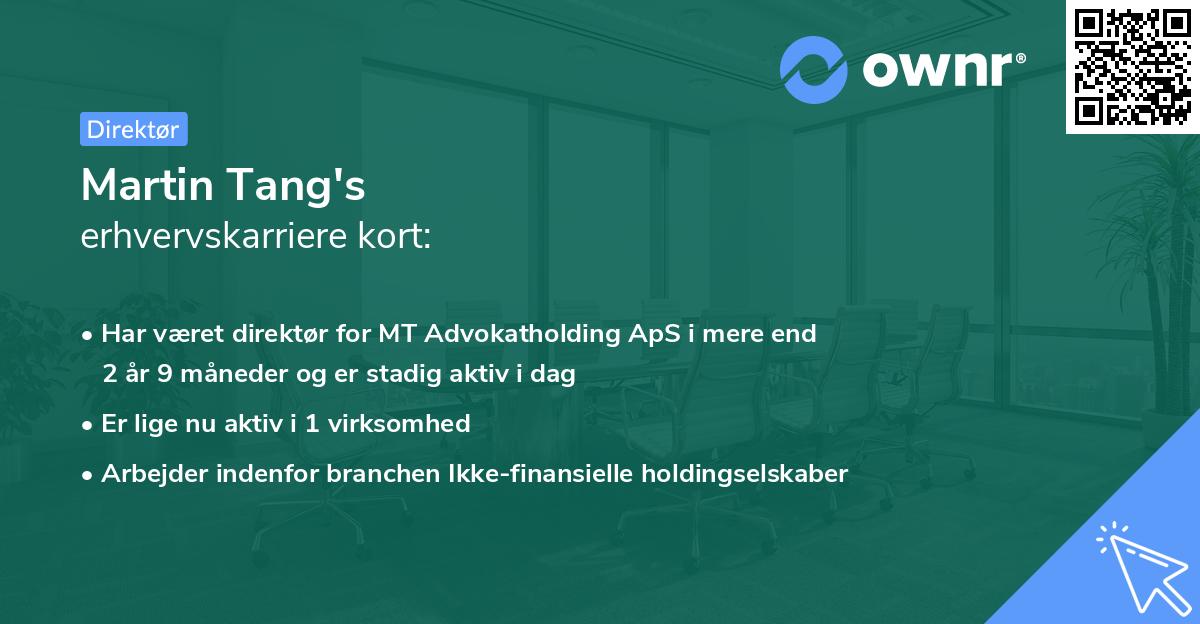 Martin Tang's erhvervskarriere kort