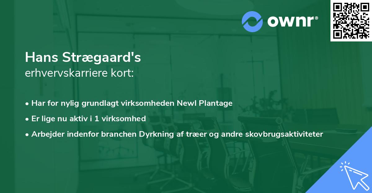 Hans Strægaard's erhvervskarriere kort