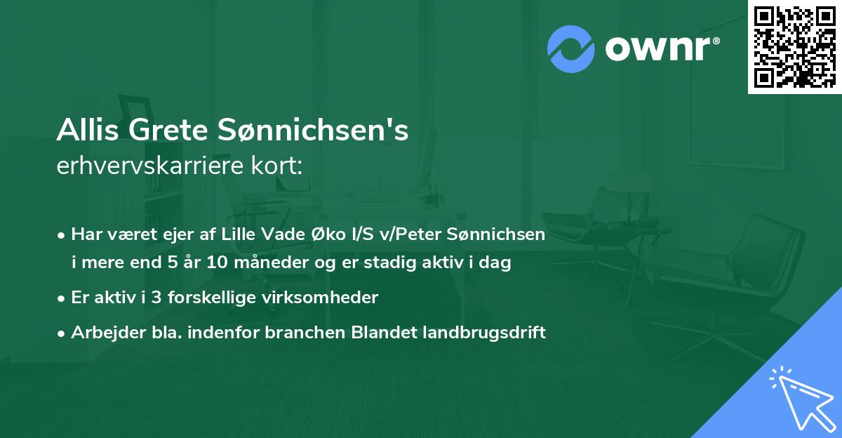 Allis Grete Sønnichsen's erhvervskarriere kort