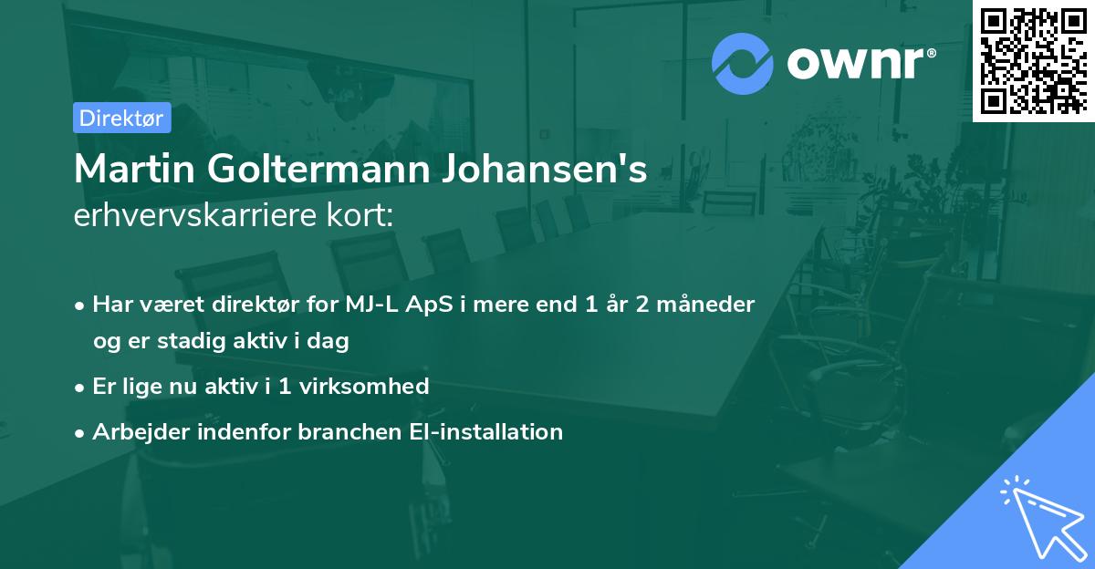 Martin Goltermann Johansen's erhvervskarriere kort