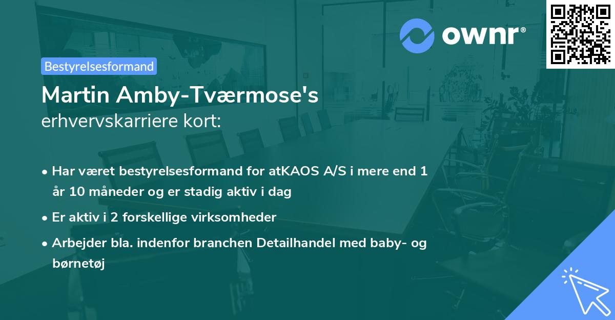 Martin Amby-Tværmose's erhvervskarriere kort