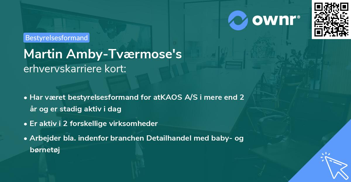 Martin Amby-Tværmose's erhvervskarriere kort