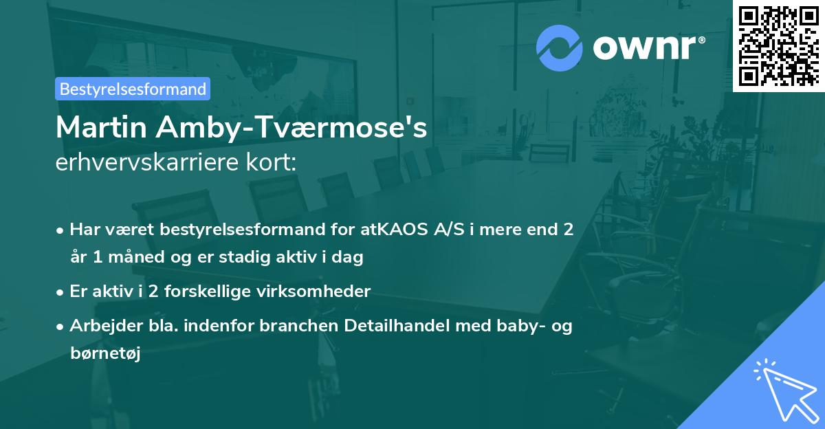 Martin Amby-Tværmose's erhvervskarriere kort