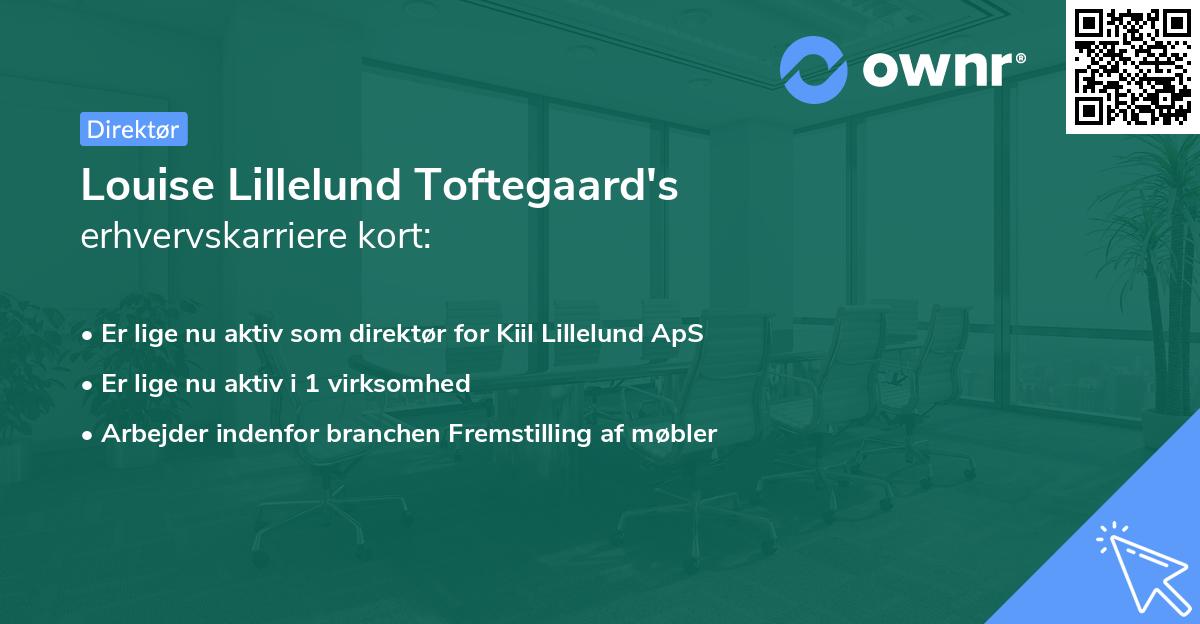 Louise Lillelund Toftegaard's erhvervskarriere kort