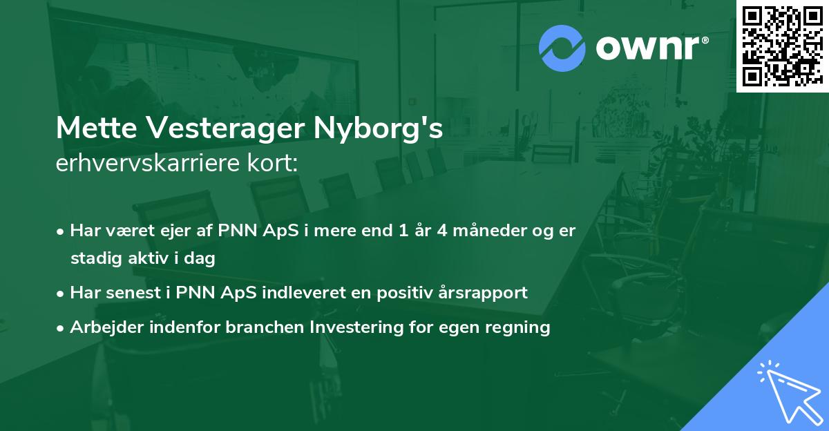 Mette Vesterager Nyborg's erhvervskarriere kort