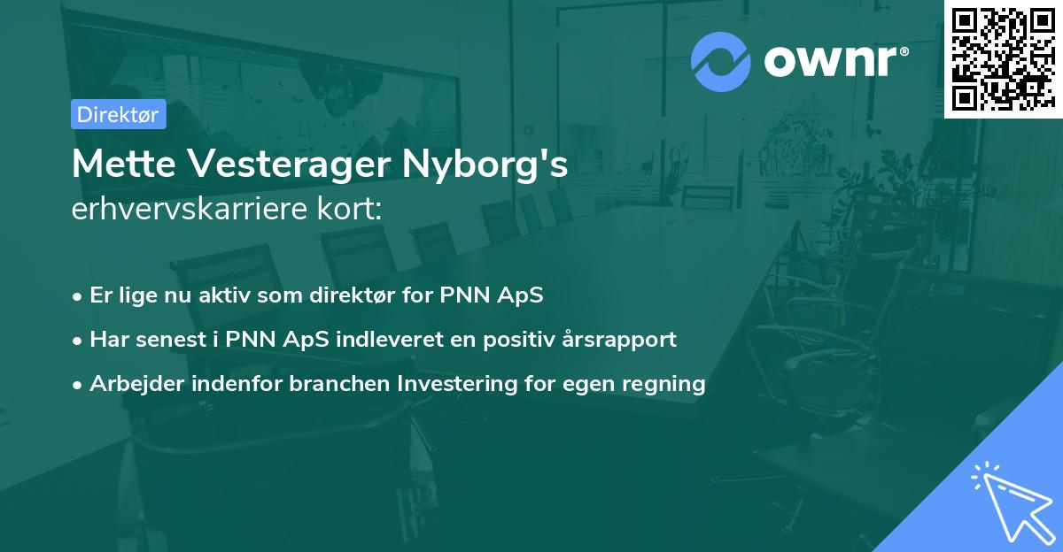Mette Vesterager Nyborg's erhvervskarriere kort