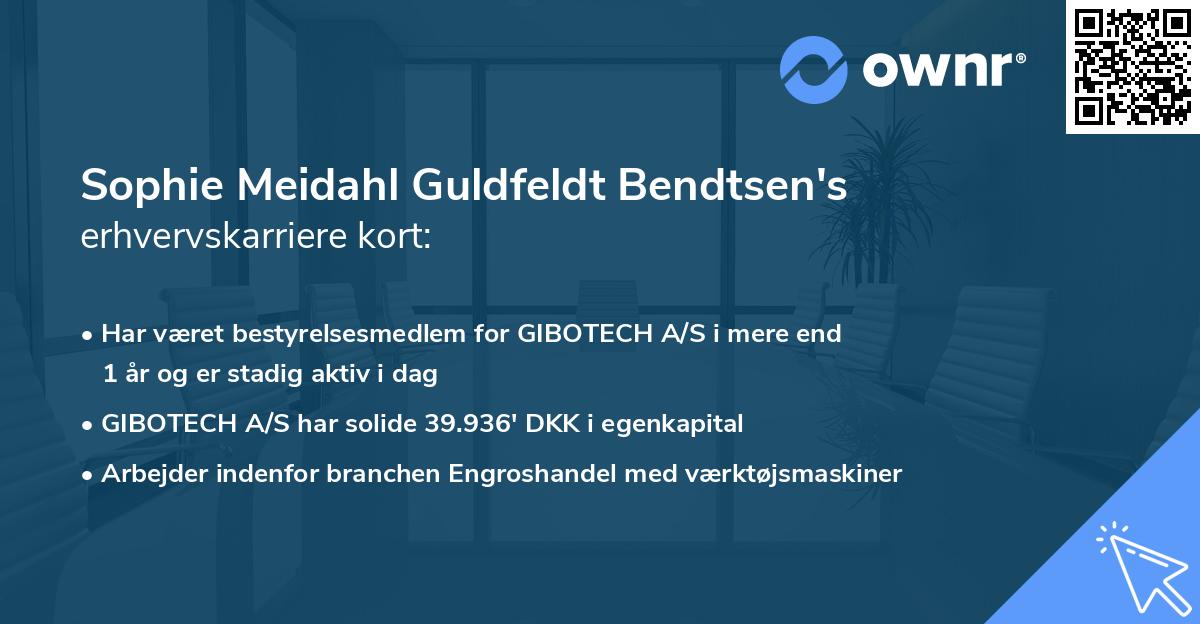 Sophie Meidahl Guldfeldt Bendtsen's erhvervskarriere kort