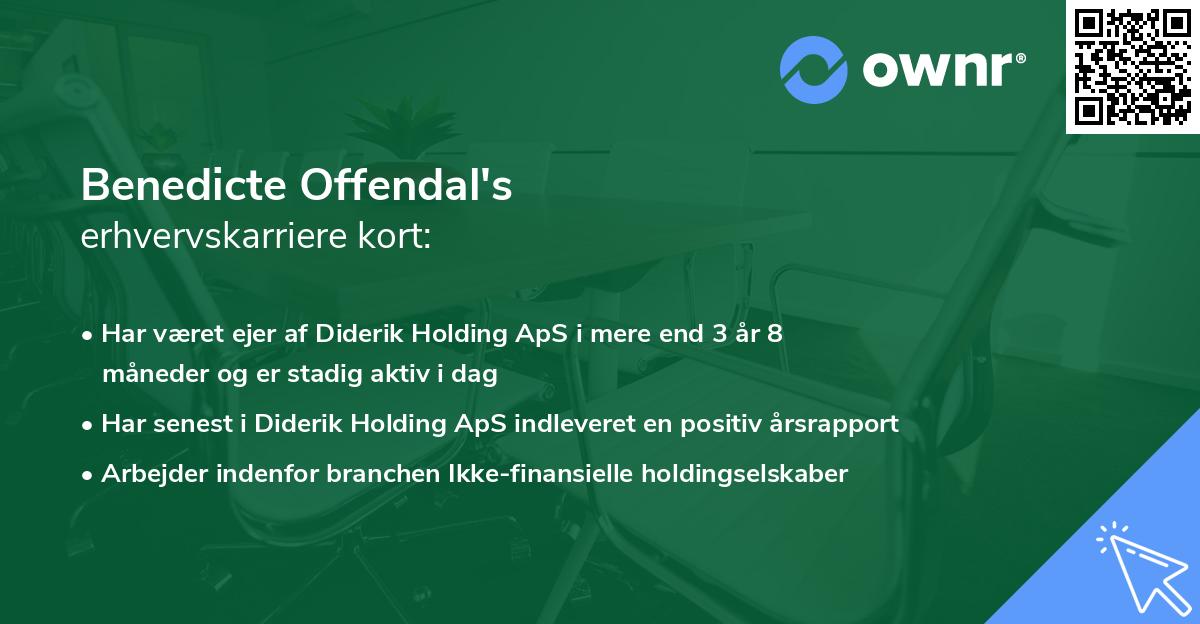 Benedicte Offendal's erhvervskarriere kort