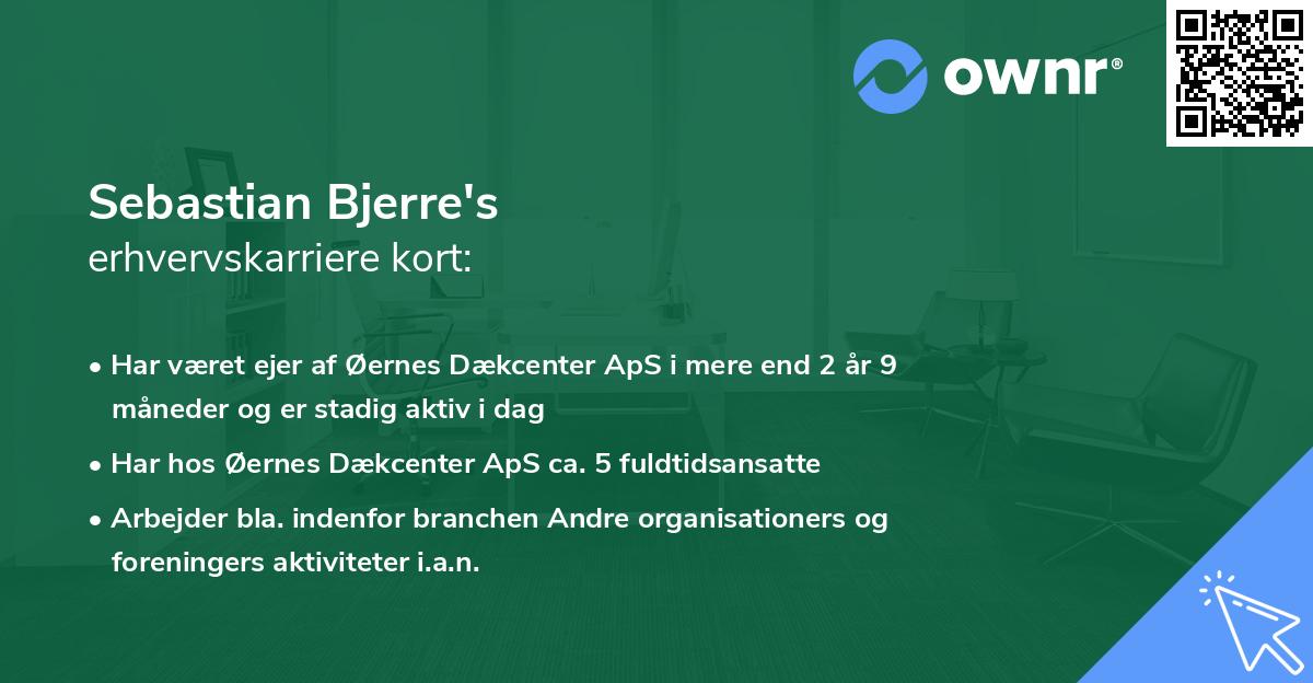 Sebastian Bjerre's erhvervskarriere kort