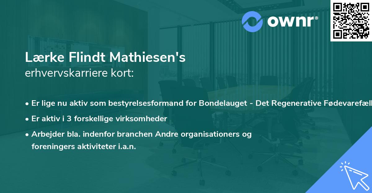 Lærke Flindt Mathiesen's erhvervskarriere kort